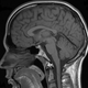 Illustration for article titled Don't Waste Your Money on "Brain Training" Schemes